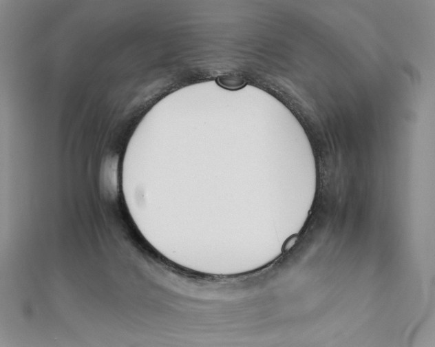 X0000112050028200909010951
