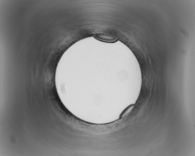 X0000112050031200909010951