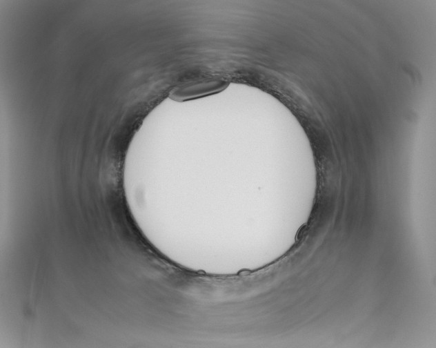 X0000112050033200909010951