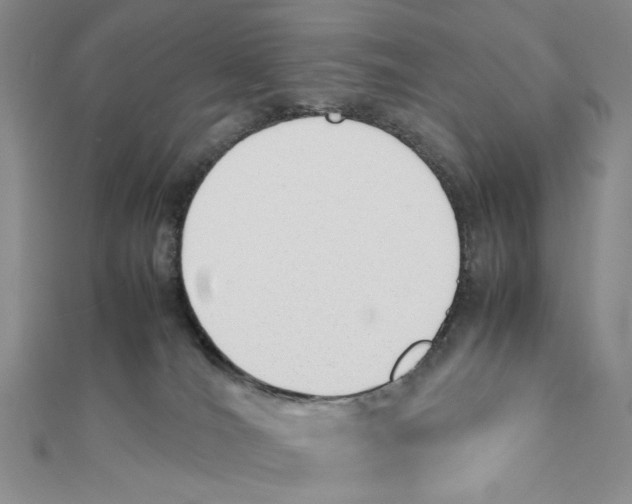 X0000112050036200909010951