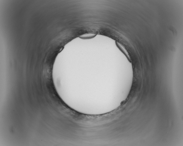 X0000112050037200909010951