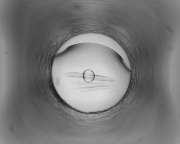 X0000112050039200909010951