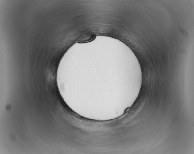X0000112050040200909010951