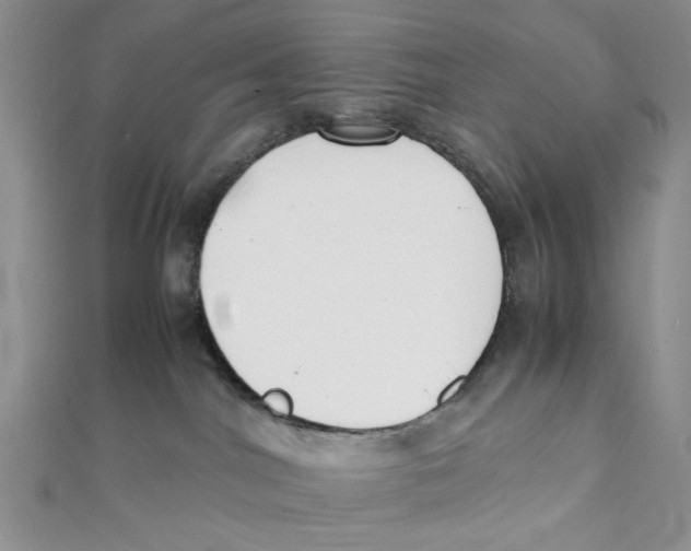 X0000112050044200909010951