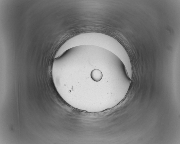 X0000112050045200909010951