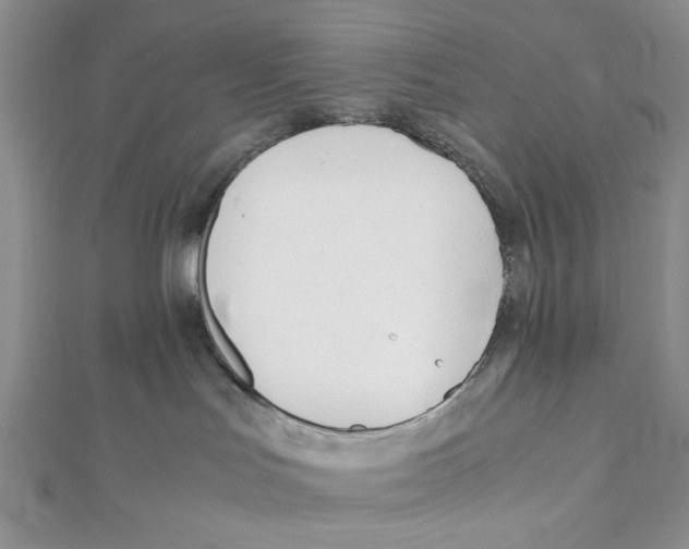 X0000112050047200909010951