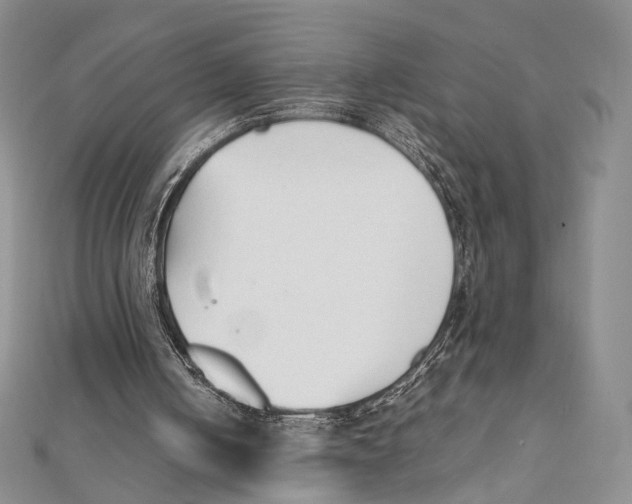 X0000112050050200909010950
