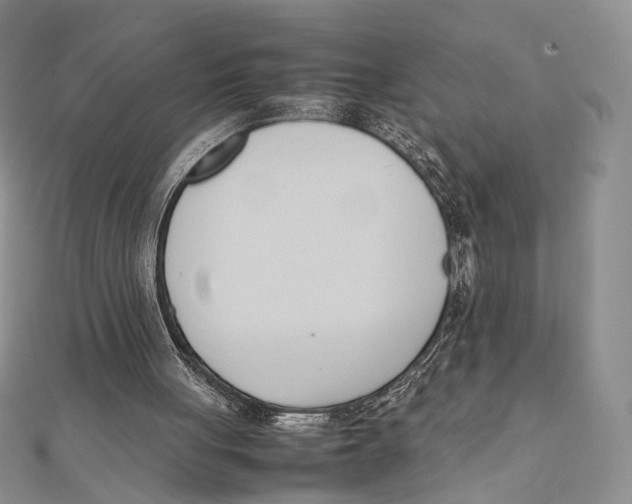 X0000112050051200909010950