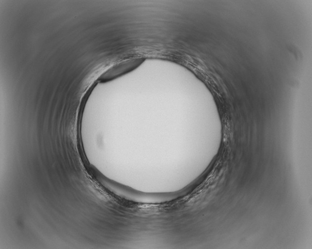 X0000112050052200909010950