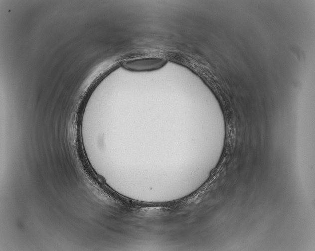 X0000112050054200909010950