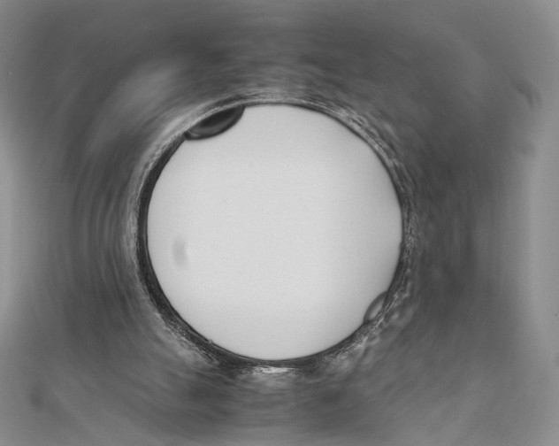 X0000112050055200909010950