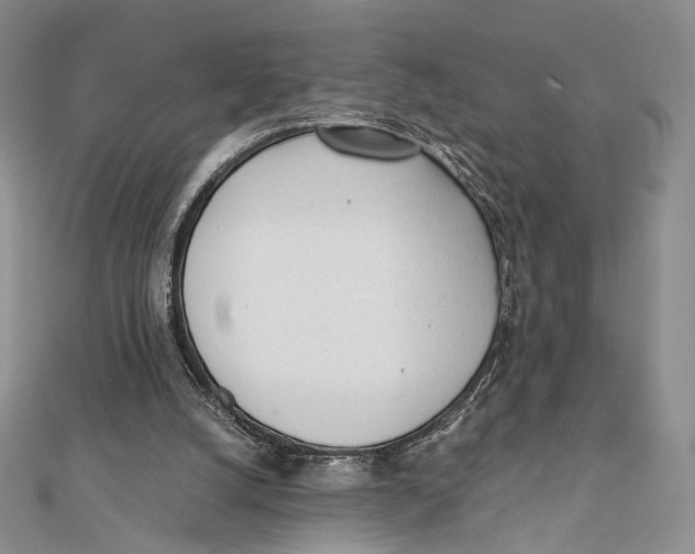 X0000112050056200909010950