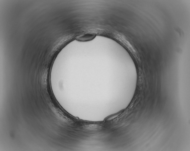 X0000112050058200909010950