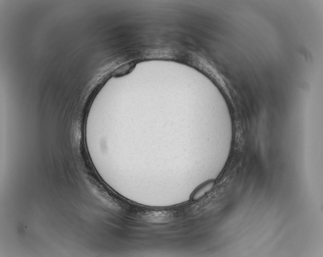 X0000112050059200909010950