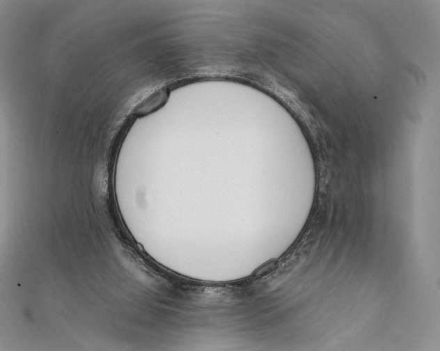 X0000112050060200909010950