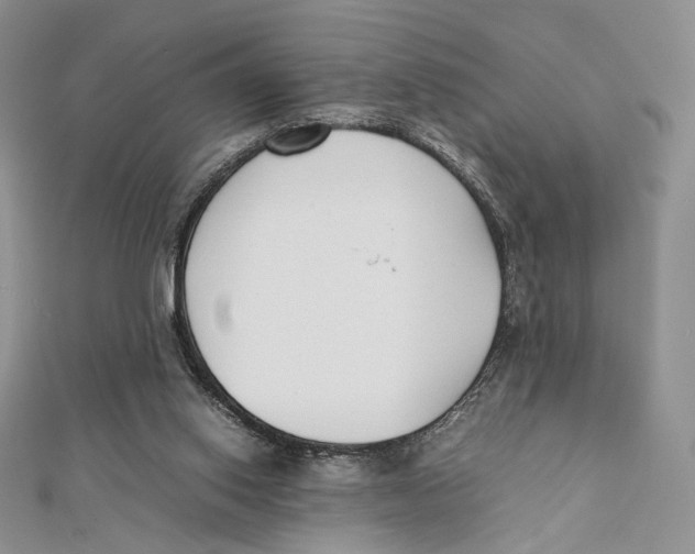 X0000112050062200909010950