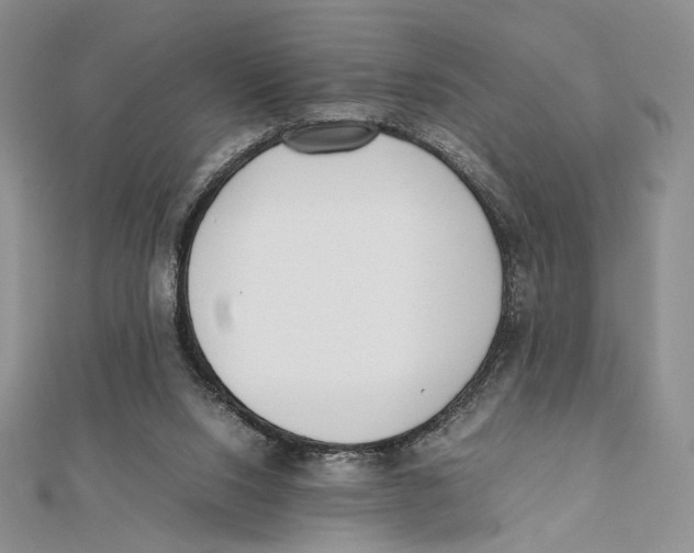 X0000112050064200909010951