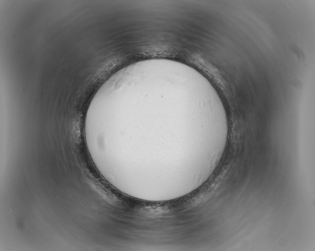 X0000112050065200909010951