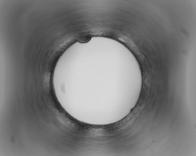 X0000112050066200909010951