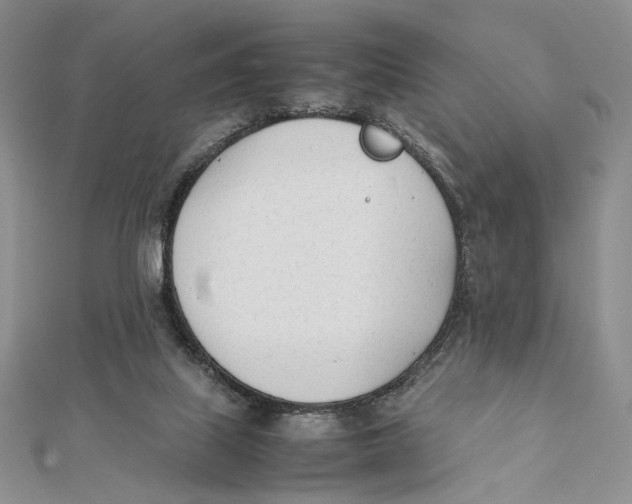 X0000112050067200909010951