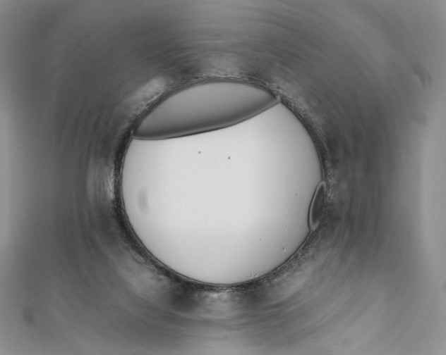 X0000112050068200909010951