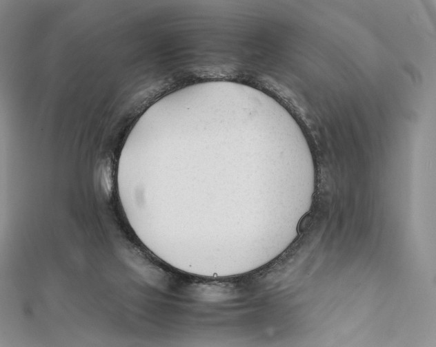 X0000112050069200909010951