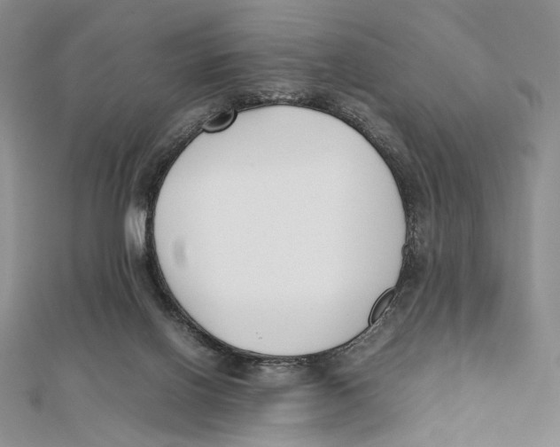 X0000112050070200909010951
