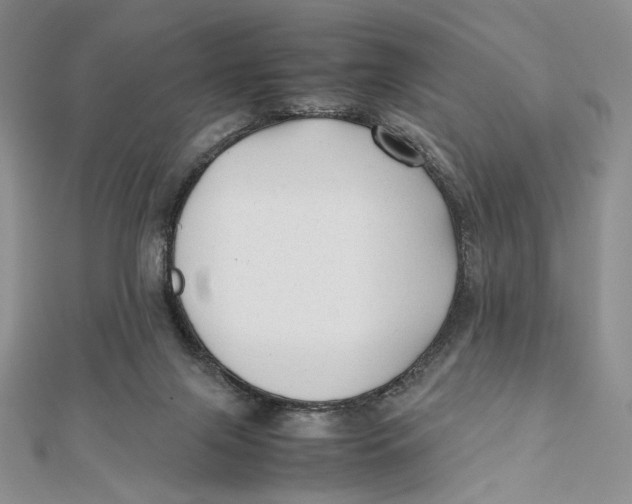 X0000112050071200909010951