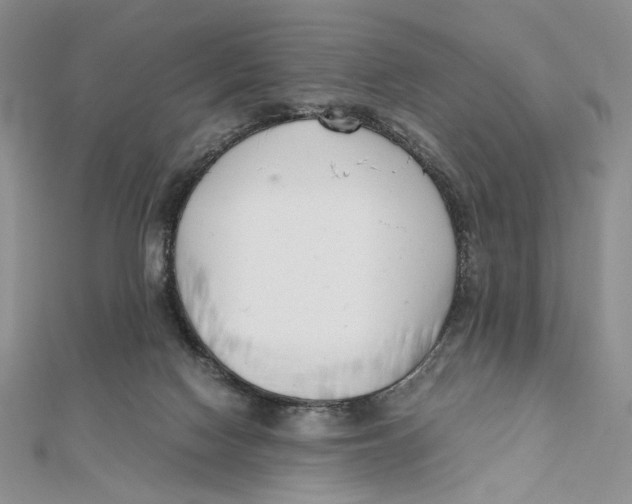 X0000112050074200909010951
