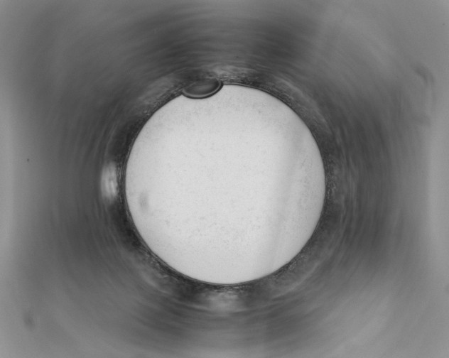 X0000112050075200909010951
