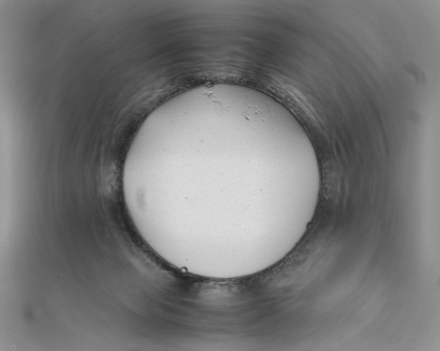 X0000112050077200909010951