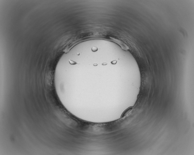 X0000112050078200909010951