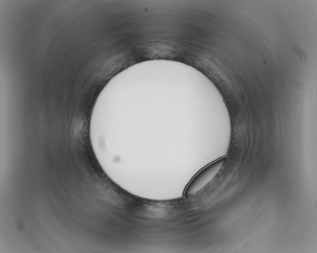 X0000112050079200909010951