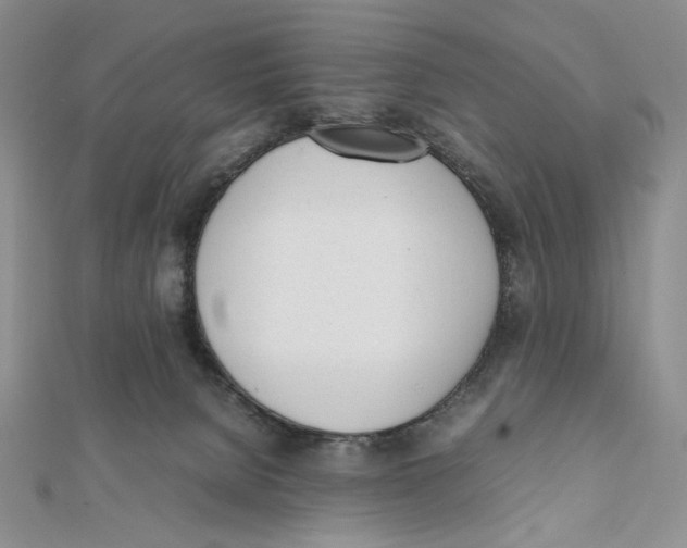 X0000112050080200909010951