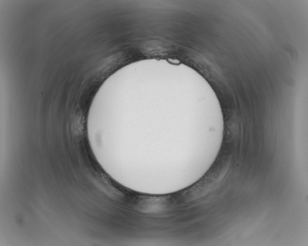 X0000112050081200909010951
