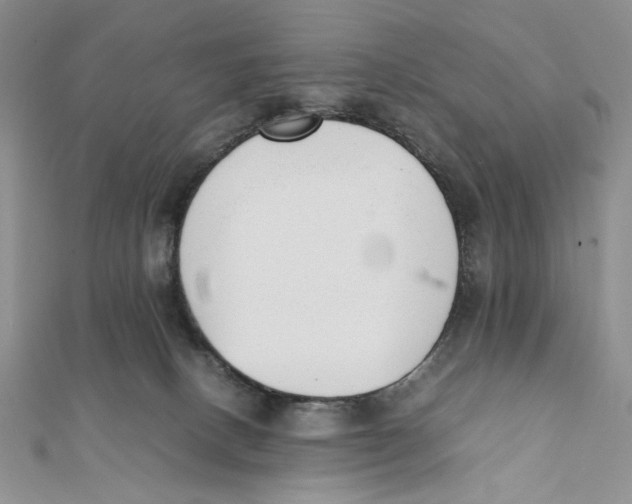 X0000112050082200909010951