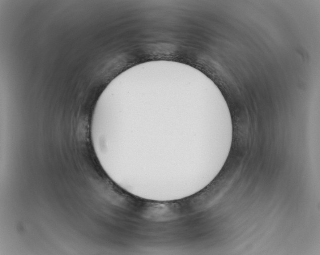 X0000112050083200909010951