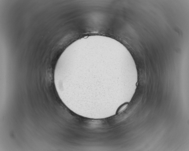 X0000112050085200909010951