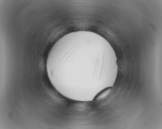 X0000112050086200909010951