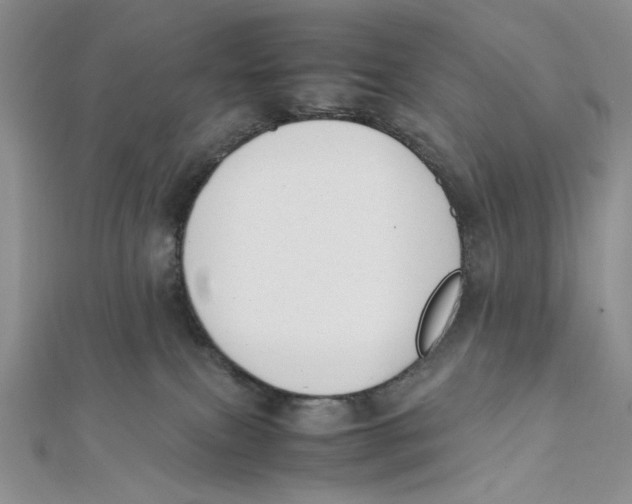 X0000112050087200909010951