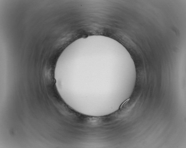 X0000112050088200909010951