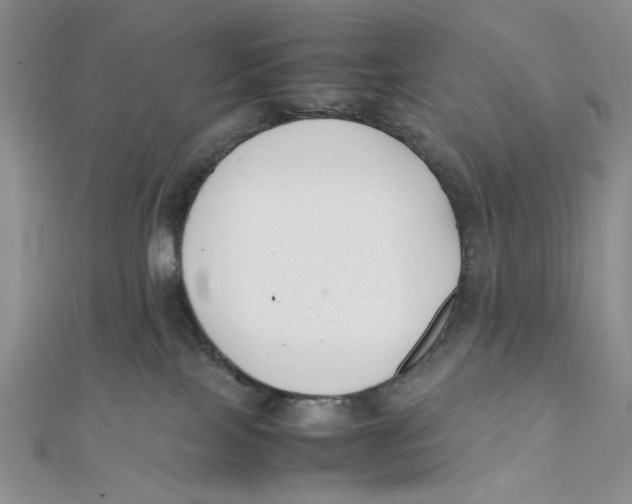 X0000112050089200909010951