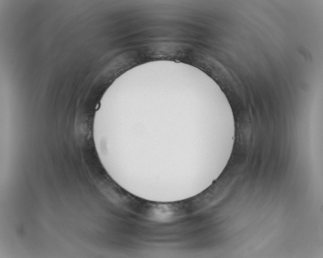 X0000112050091200909010951