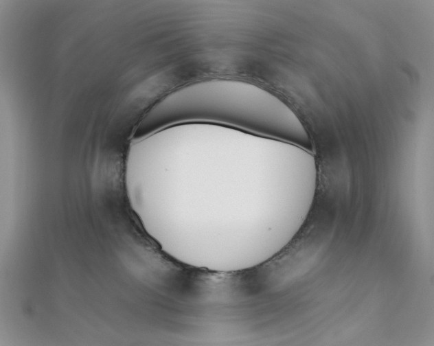X0000112050092200909010951