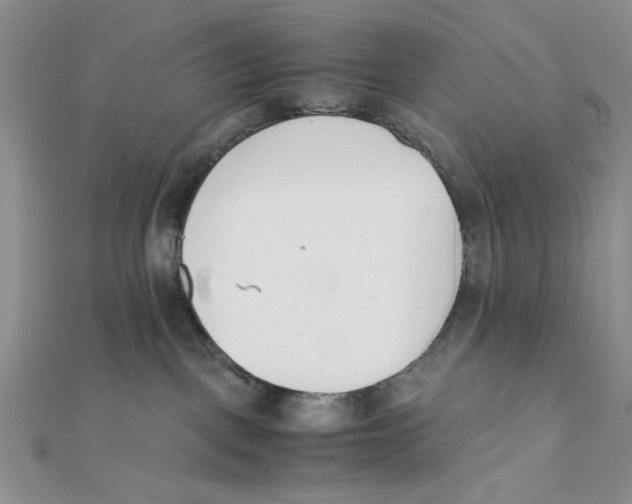 X0000112050093200909010951
