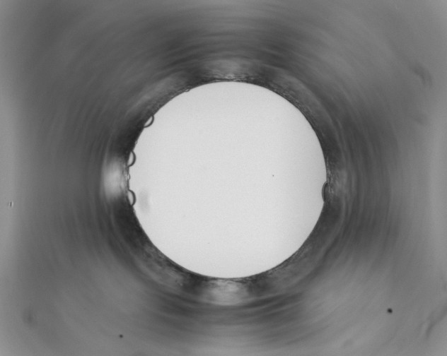 X0000112050095200909010951