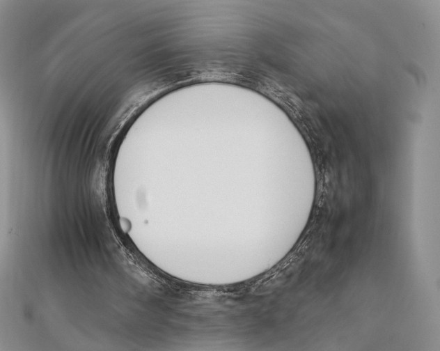 X0000112050098200909010950