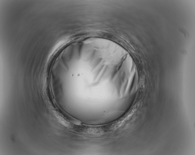 X0000112050101200909010950