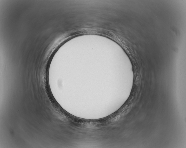 X0000112050103200909010950