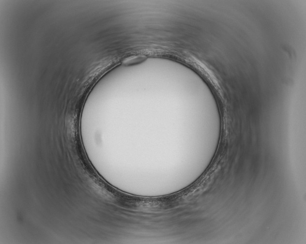 X0000112050105200909010950